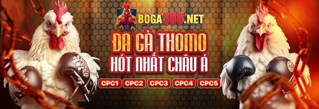 Đá gà kịch tính tại p88 hiện đang mở