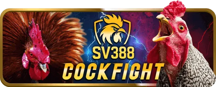 Cơ Hội Tham Gia Sự Kiện VIP Độc Đáo p88