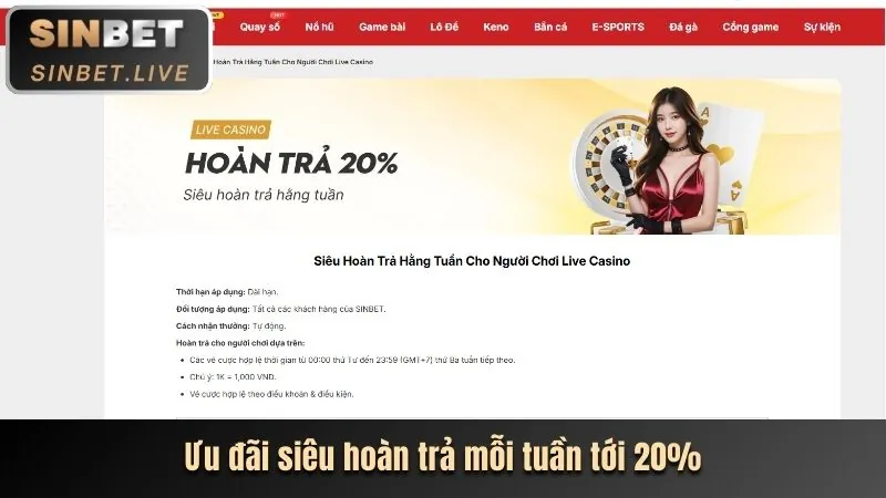 Chương trình VIP và phần thưởng dành cho thành viên thân thiết p88